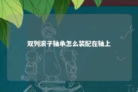 双列滚子轴承怎么装配在轴上 